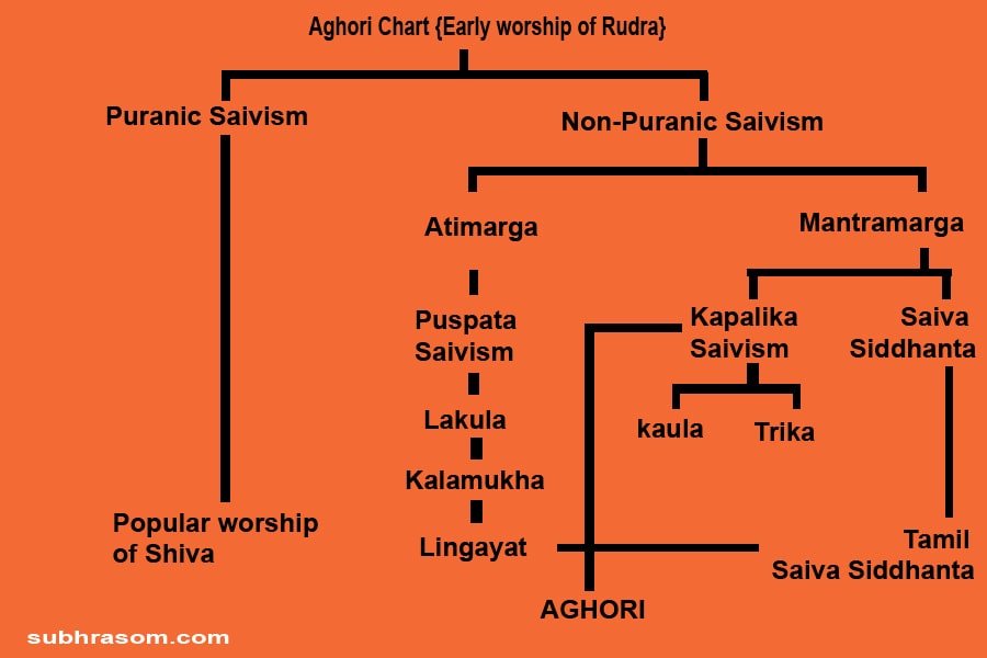 aghori sadhu growth chart